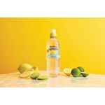 Radnor Splash Wtr Lem/Lim 500Ml Pk24