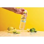 Radnor Splash Wtr Lem/Lim 500Ml Pk24