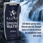 Radnor Still Spring Water 250Ml Pk24