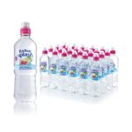 Radnor Splash Wtr Ap/Rasp 500Ml Pk24