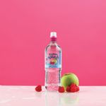 Radnor Splash Wtr Ap/Rasp 500Ml Pk24