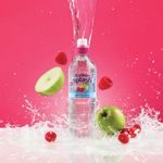 Radnor Splash Wtr Ap/Rasp 500Ml Pk24