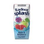 Radnor Splash Wtr Ap/Rasp 250Ml Pk24