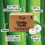2-Ply Maxi Jumbo Wc Roll 300M Pk6
