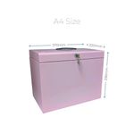 Cathedral File Box + 5 Files A4 Pink