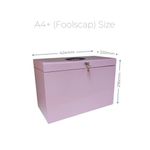 Cathedral File Box + 5 Files Fc Pink