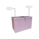 Cathedral File Box + 5 Files Fc Pink
