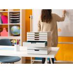 Durable Varicolor Mix Dtop Organiser