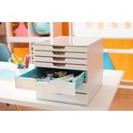 Durable Varicolor Mix Dtop Organiser