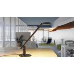Luctra Lite 3D Desk Lamp Black