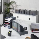 Durable Varicolor Mag Stor Rack Pk5
