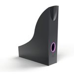 Durable Varicolor Mag Stor Rack Pk5