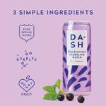 Dash Spkg Water Bkcurrant 330Ml Pk12