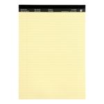 Exec Pad Rld 65Gsm 100Pg A4 Ylw Pk10