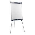 Drywipe Magnetic Easel A1/Euro Grey