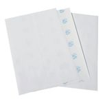 Mpps Labels 99X93Mm Pk600