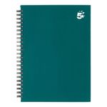 Wbnd Hdbk Notebook Rld A5 Teal Pk5