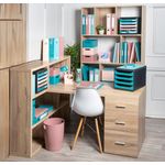 Skandi Ring Binder Ast Pk4