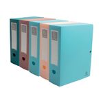 Skandi Filing Box 100Mm Ast Pk5