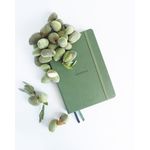 Rhodiarama Creation Goalbook Sage