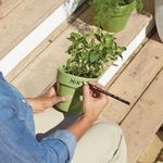 Sharpie China Marker Yellow Pk12