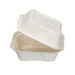 Bagasse Burger Box Square 6In Pk500