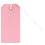 Concept Pkt.8 Coloured Tie On Labels