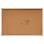 Concept Memo Cork Notice Board 60X40Cm