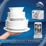 3-In-1 Descaler Degreaser Clnr Pk12