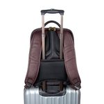 Falcon Laptop Backpack Brown