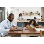 Jabra Evolve 50 Usb Uc Ster Headset