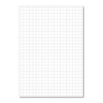 Exr Book 10Mm Sq 80Pg A4 Orange Pk50