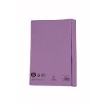 Guildhall Tfr File 315Gsm Mauve Pk25