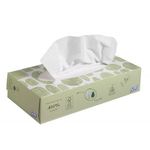 Scott Facial Tissue Std 100Shts Pk21