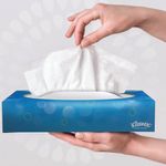 Kleenex Facial Tissue 100 Sheet Pk24