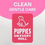 Family Soft Toilet Roll 6X4 Pk24