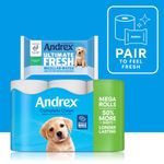 Complete Clean Mega Toilet Roll Pk12