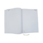 Desk Diary 2 Ppd A4 Green 2027
