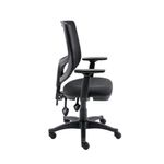 Astin Nesta Optr Chr Adj Arms