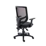 Astin Nesta Optr Chr Adj Arms