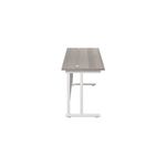 Jemini Rect Cant Desk 1800X600 G/Oak