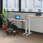 Jemini Sit/Stand Dsk 1400X800 Beech