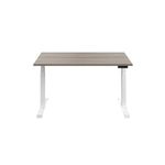 Jemini Sit/Stand Dsk 1400X800 G/Oak