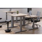 Jemini Sit/Stand Dsk 1600X800 Wal