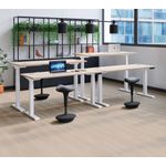 Jemini Sit/Stand Dsk 1600X800 Wal