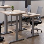 Jemini Sit/Stand Dsk 1600X800 G/Oak