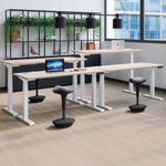 Jemini Sit/Stand Dsk 1600X800 G/Oak