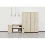 Jemini Wdn Cupboard 1200 D/Wal