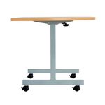 Jemini D-End Tilt Table 800 Bch/Slv