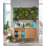 Leitz Cosy Dwip Dtop Wbrd Pad Yellow